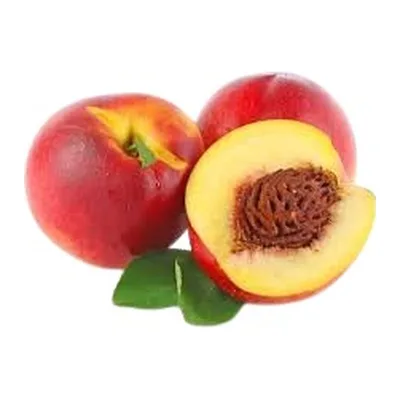 Nectarine
