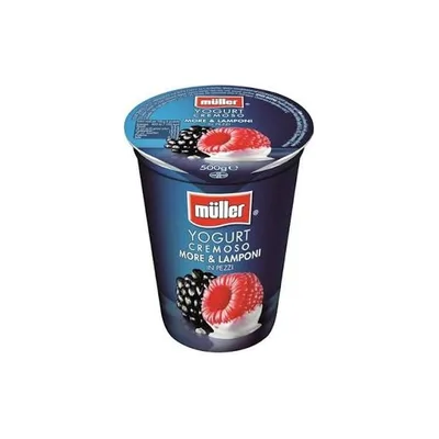 Muller Iaurt Mure-Zmeura, 500 g