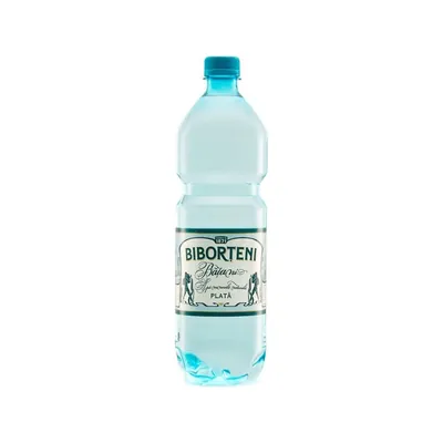 1L BIBORTENI APA PLATA SGR
