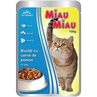 100G MIAU MIAU SOMON PLIC