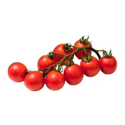 Rosii Chiorchine